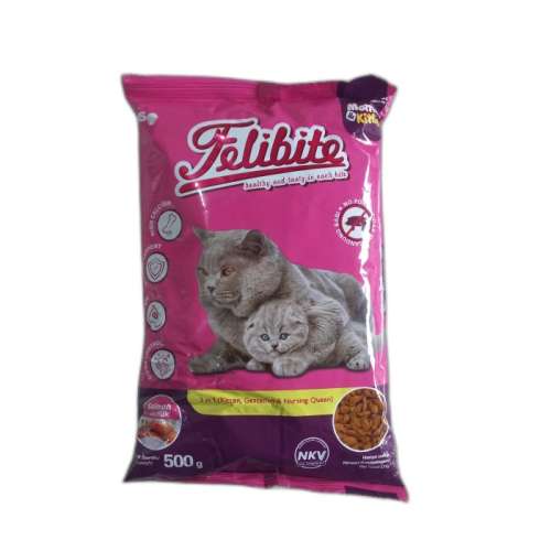 Felibite kitten
