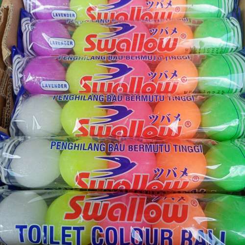 Swallow kamar mandi