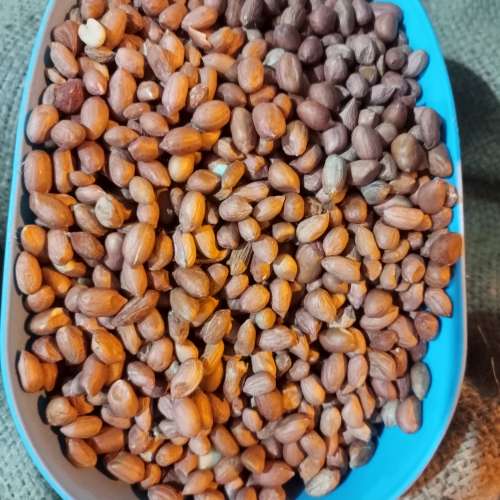 Kacang tanah 1kg
