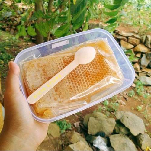 PROMO Madu sarang 500gr Sarang madu