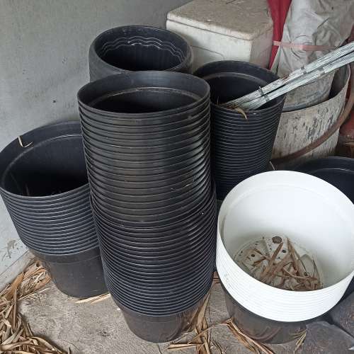pot jumbo