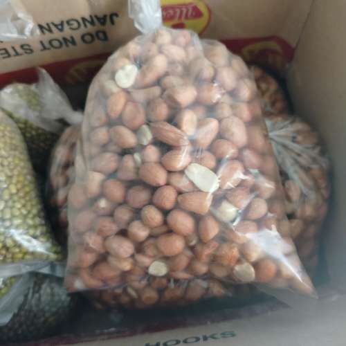 Kacang