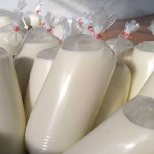 Susu sapi murni