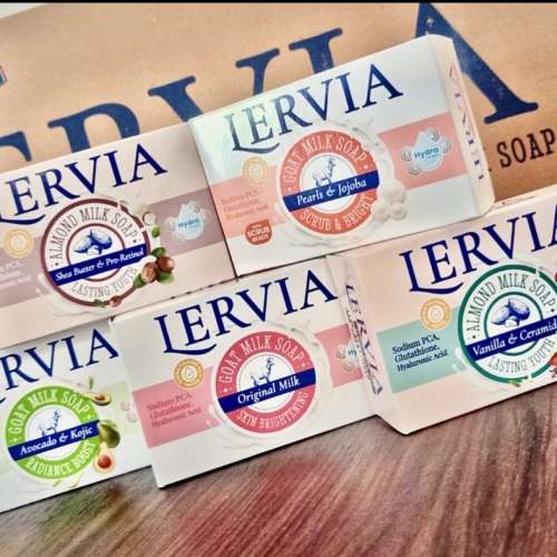 LERVIA BATANG KARTONAN