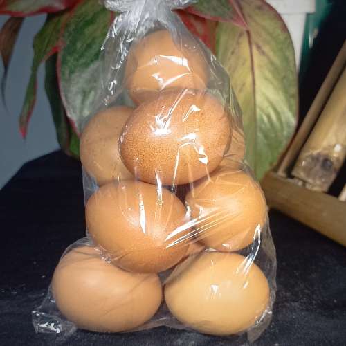 Telur ayam