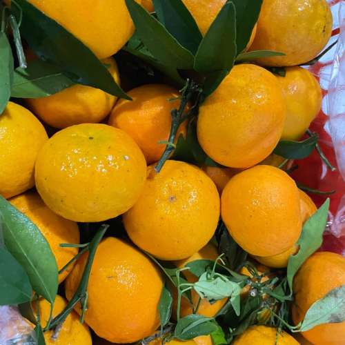 JERUK WOGAN FRESH 1KG