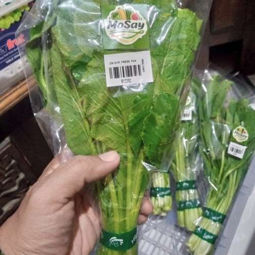 CAISIM (SAWI HIJAU) SAYUR