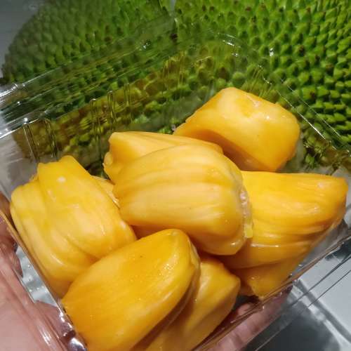 NANGKA KUPAS BUAH