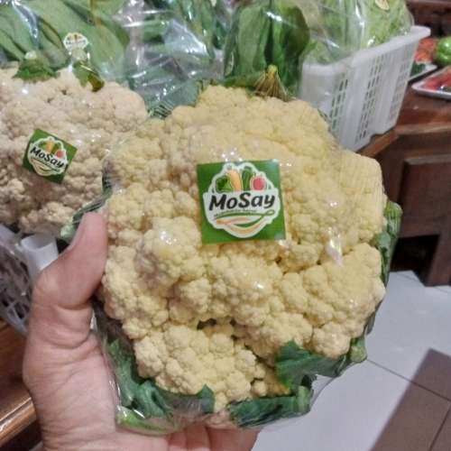 KEMBANG KOL SAYUR