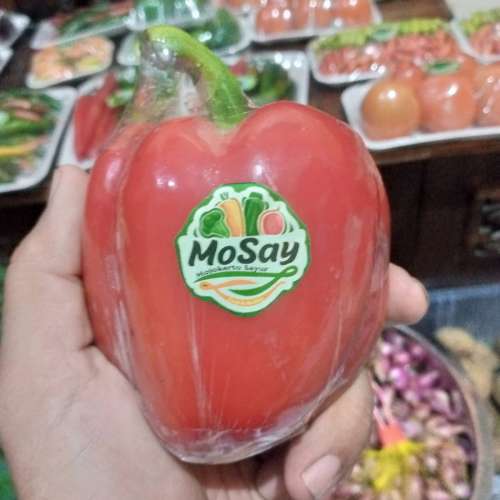 CABE PAPRIKA MERAH SAYUR