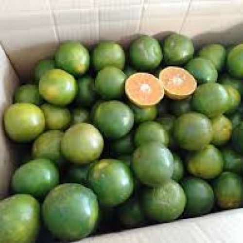 JERUK PERAS SIAM BUAH