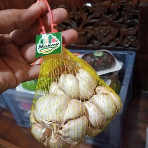 BAWANG PUTIH SAYUR