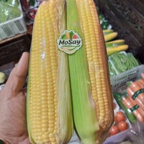 JAGUNG MANIS KUPAS SAYUR