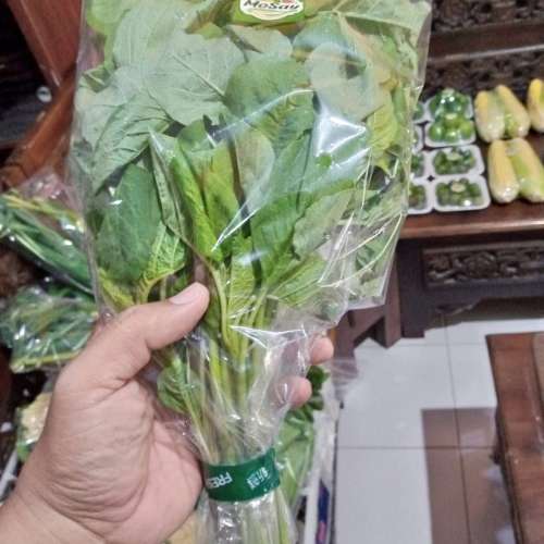 BAYAM HIJAU SAYUR