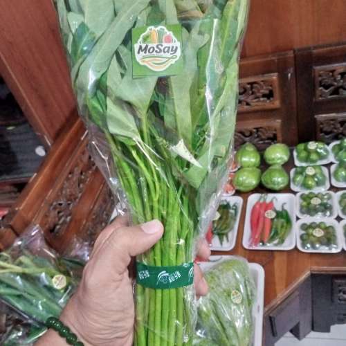 KANGKUNG AKAR SAYUR